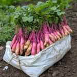 The Power of Lasagna Gardening: My Nana’s Secret to a Thriving Garden