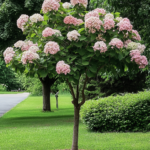 Protecting Your Fall Bulbs from Squirrels: Grandpa’s Secret Trick Revealed