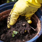 Keep Your Raised Bed Thriving This Winter! ❄️🌱